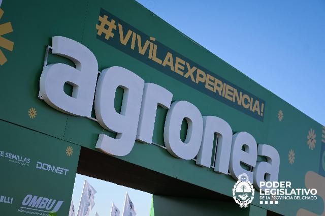 Imagen adicional